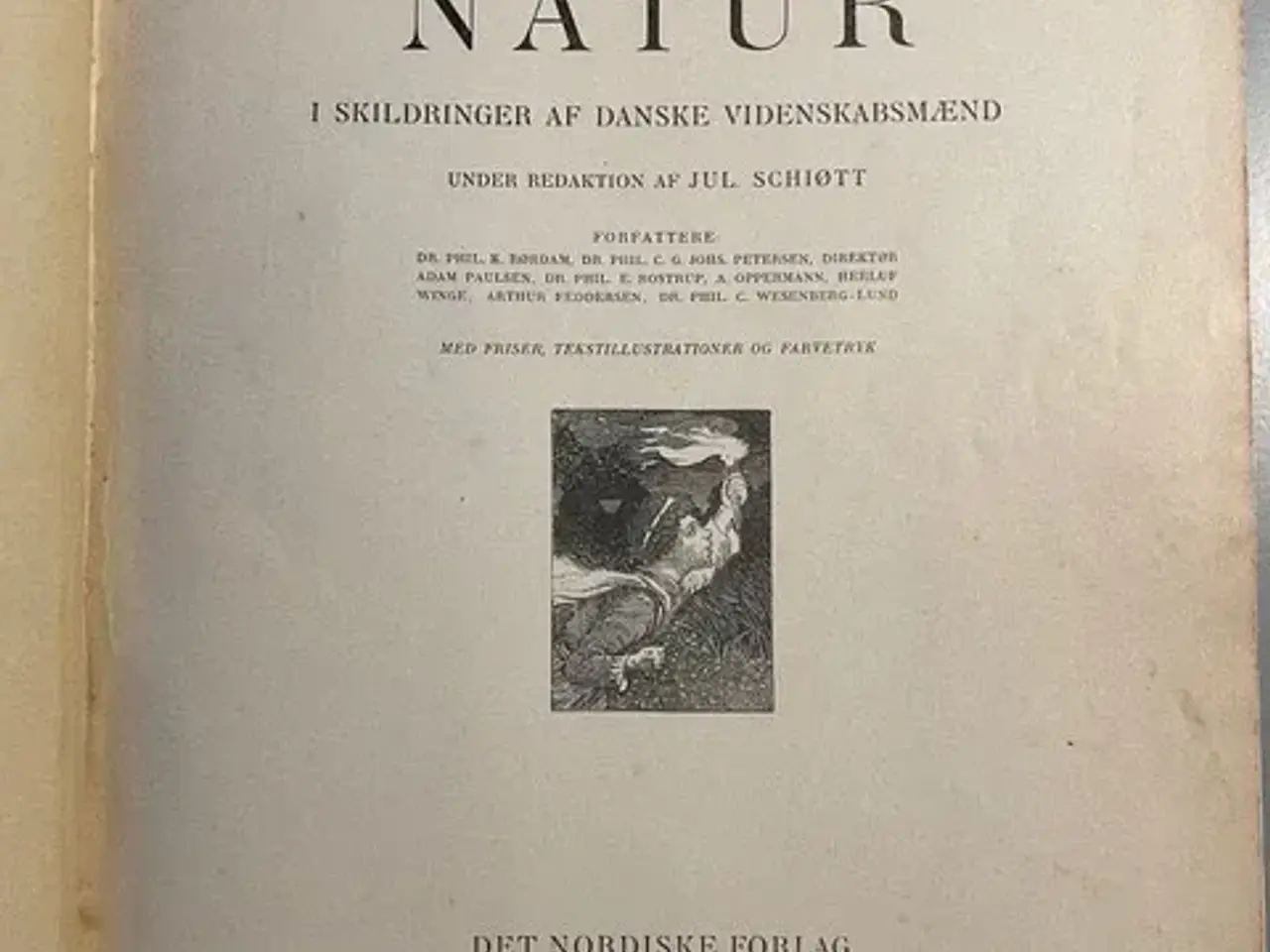 Billede 3 - Jul. Schiøtt. Danmarks natur.
