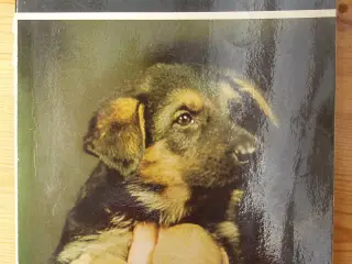 Min hund af O. Bertelsen