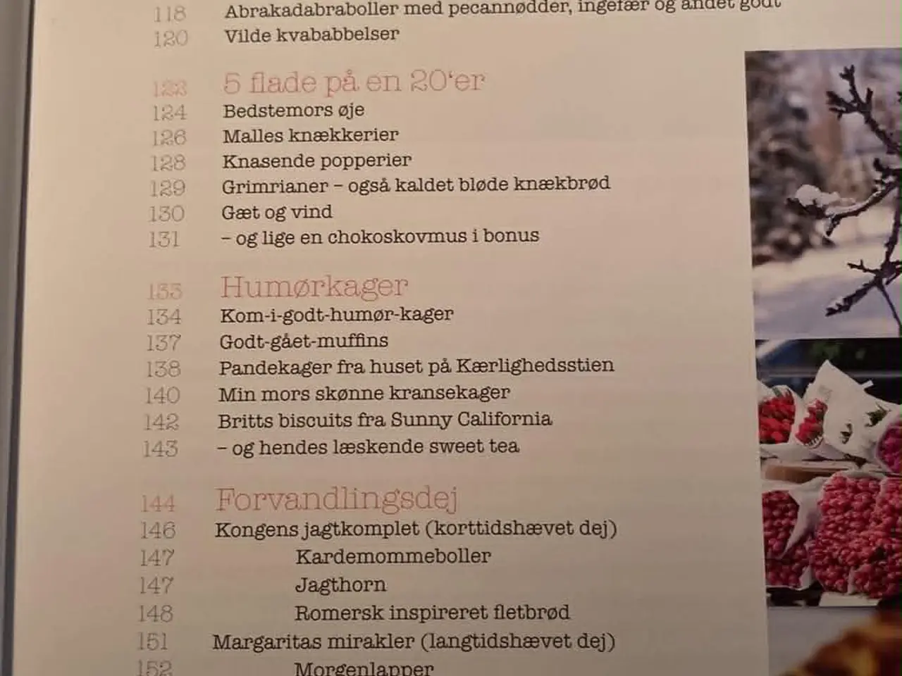 Billede 4 - Greven, kammerjunken og den dragende citronmåne
