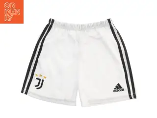 Fodboldshorts med klublogo fra Adidas (str. 164)
