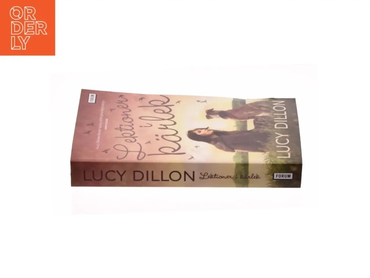 Billede 3 - Lektionen i kärlek af Lucy Dillon (bog)