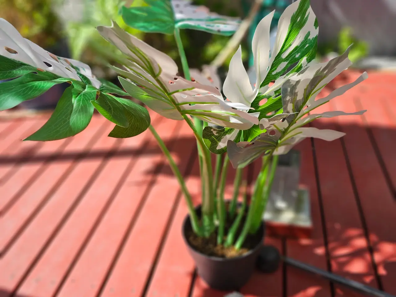 Billede 1 - Kunstige planter