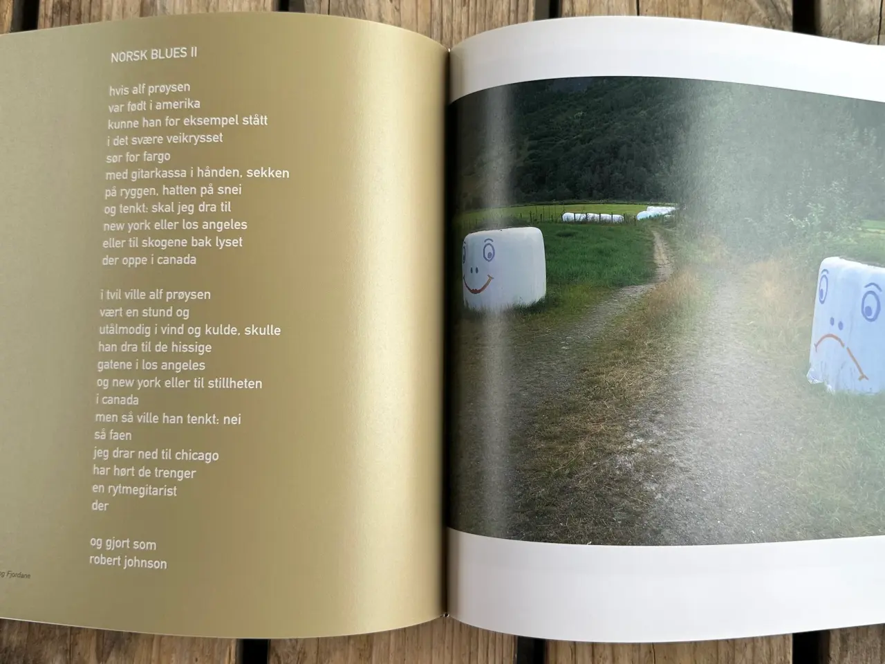 Billede 6 - Norske omveier – i blues og bilder – Norsk