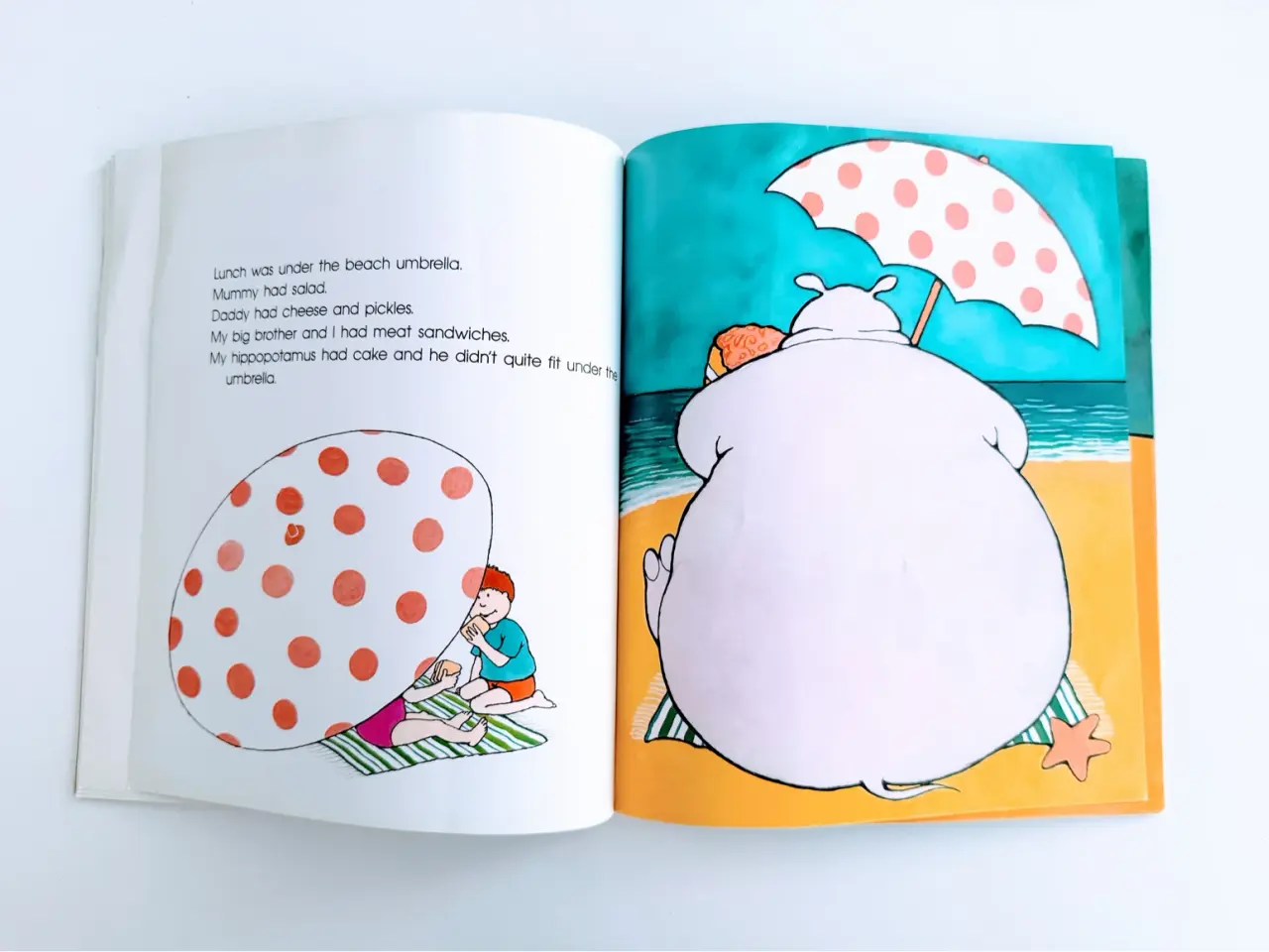 Billede 3 - My Hippopotamus Is on Our Caravan Roof Getting Sun
