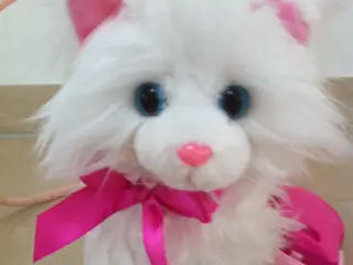 Gående kat
