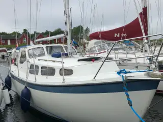 LM27 - BUKH DV36