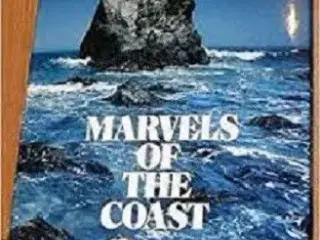 Marvels of the coast