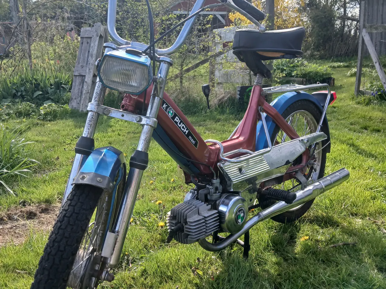 Billede 2 - Puch Maxi K