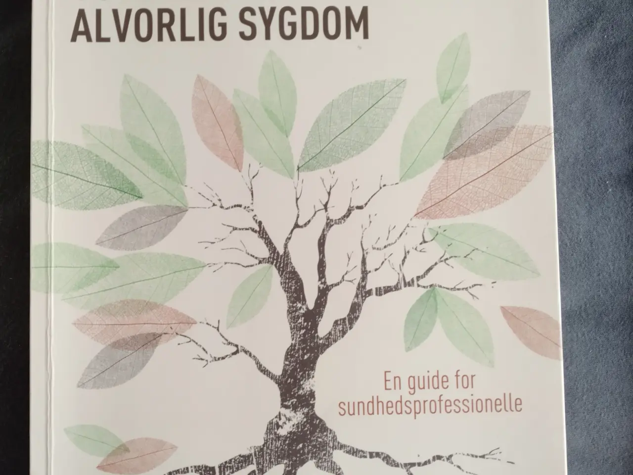 Billede 3 - Bøger til sygeplejerske studie
