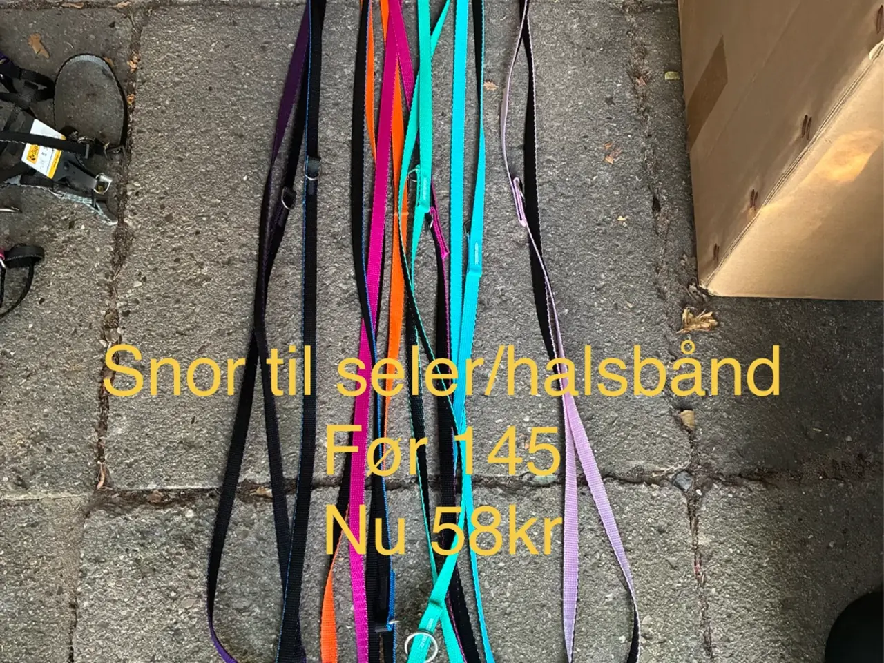 Billede 3 - Outlet Seler, Halsbånd og snor