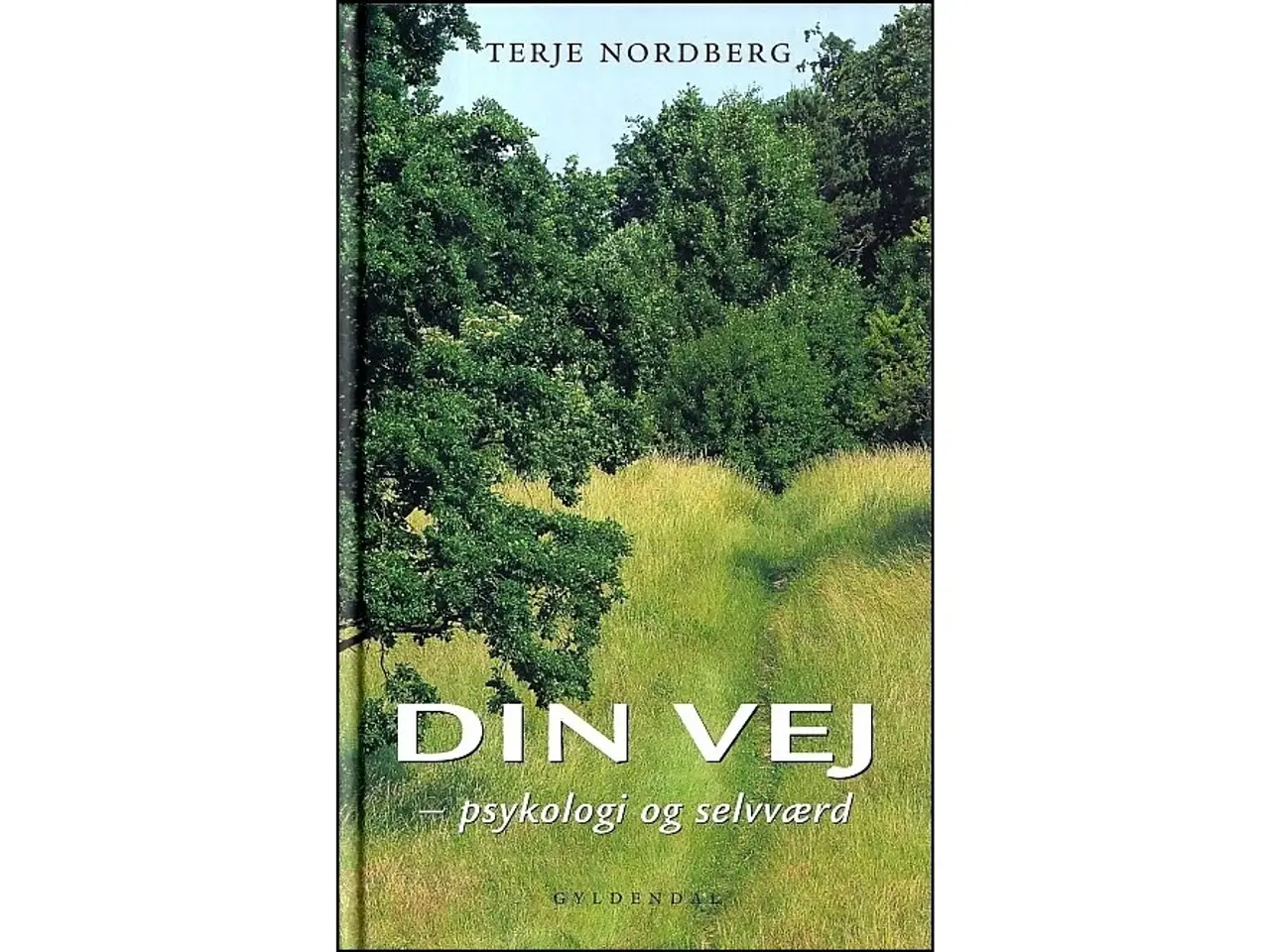 Billede 1 - Din vej - psykologi og selvværd
