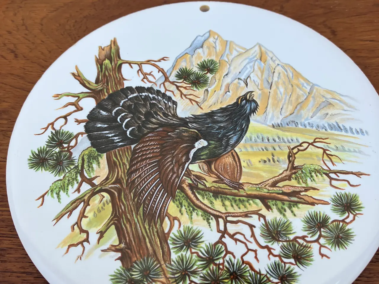Billede 9 - Dekorative vildt/jagt platter