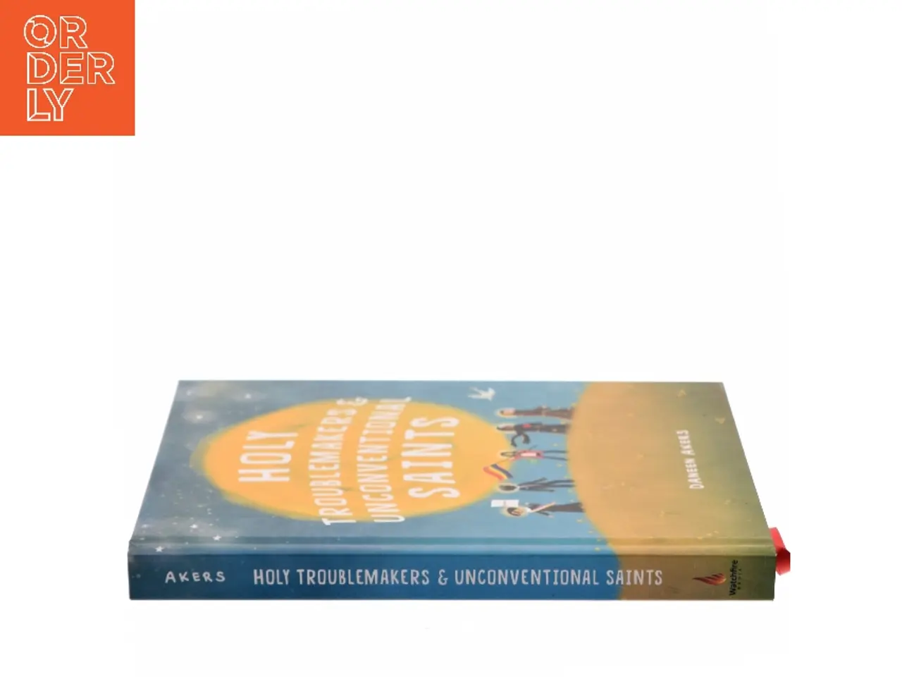 Billede 2 - Holy Troublemakers & Unconventional Saints af Daneen Akers (Bog)