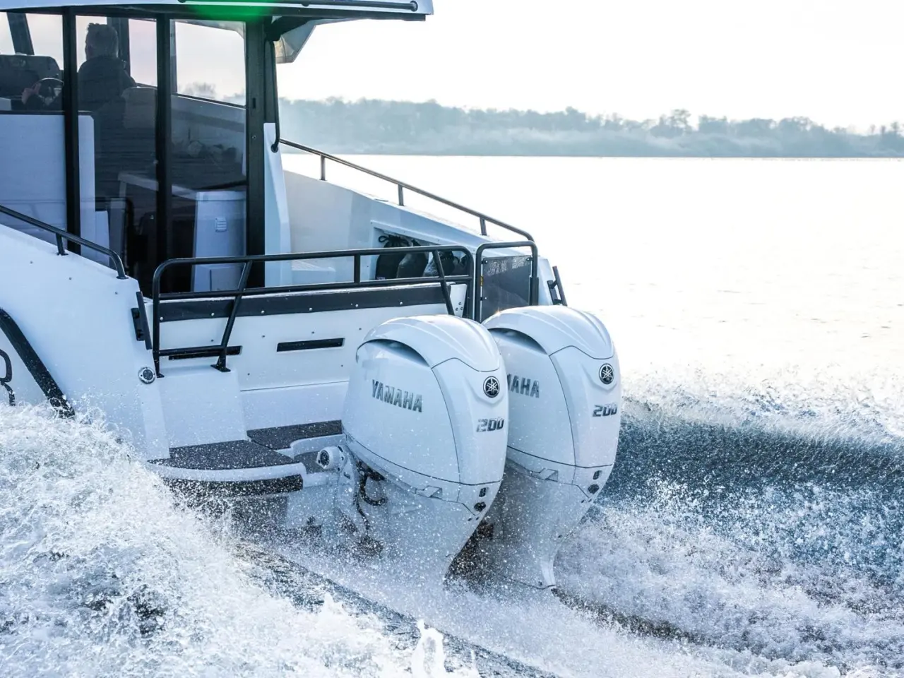 Billede 6 - Yamaha F200LSA