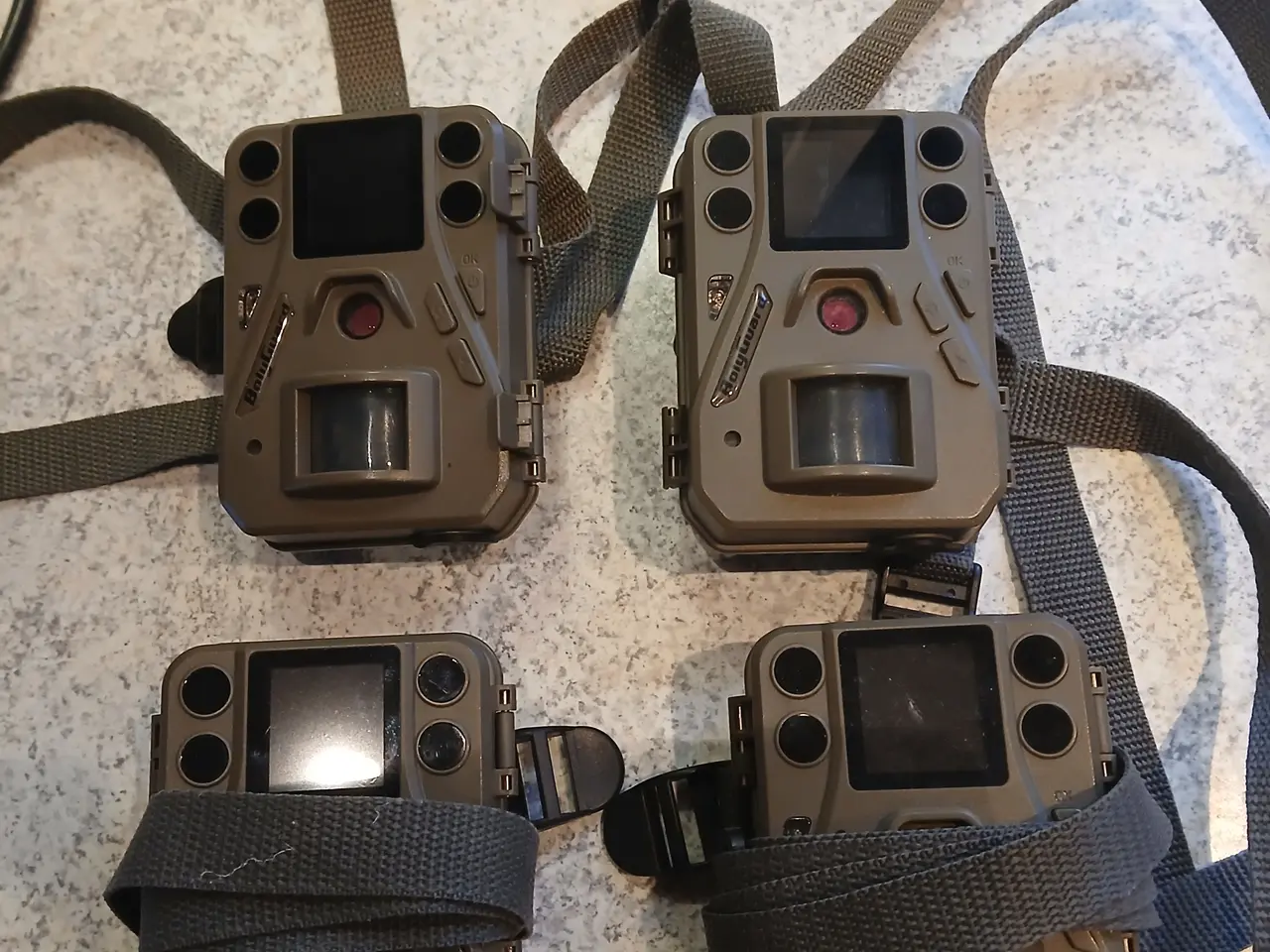 Billede 2 - Bolyguard vildtkamera.