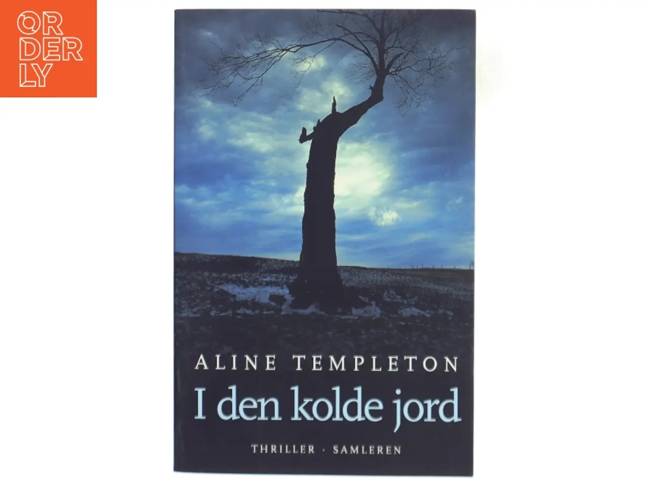 Billede 1 - I den kolde jord : thriller af Aline Templeton (Bog)