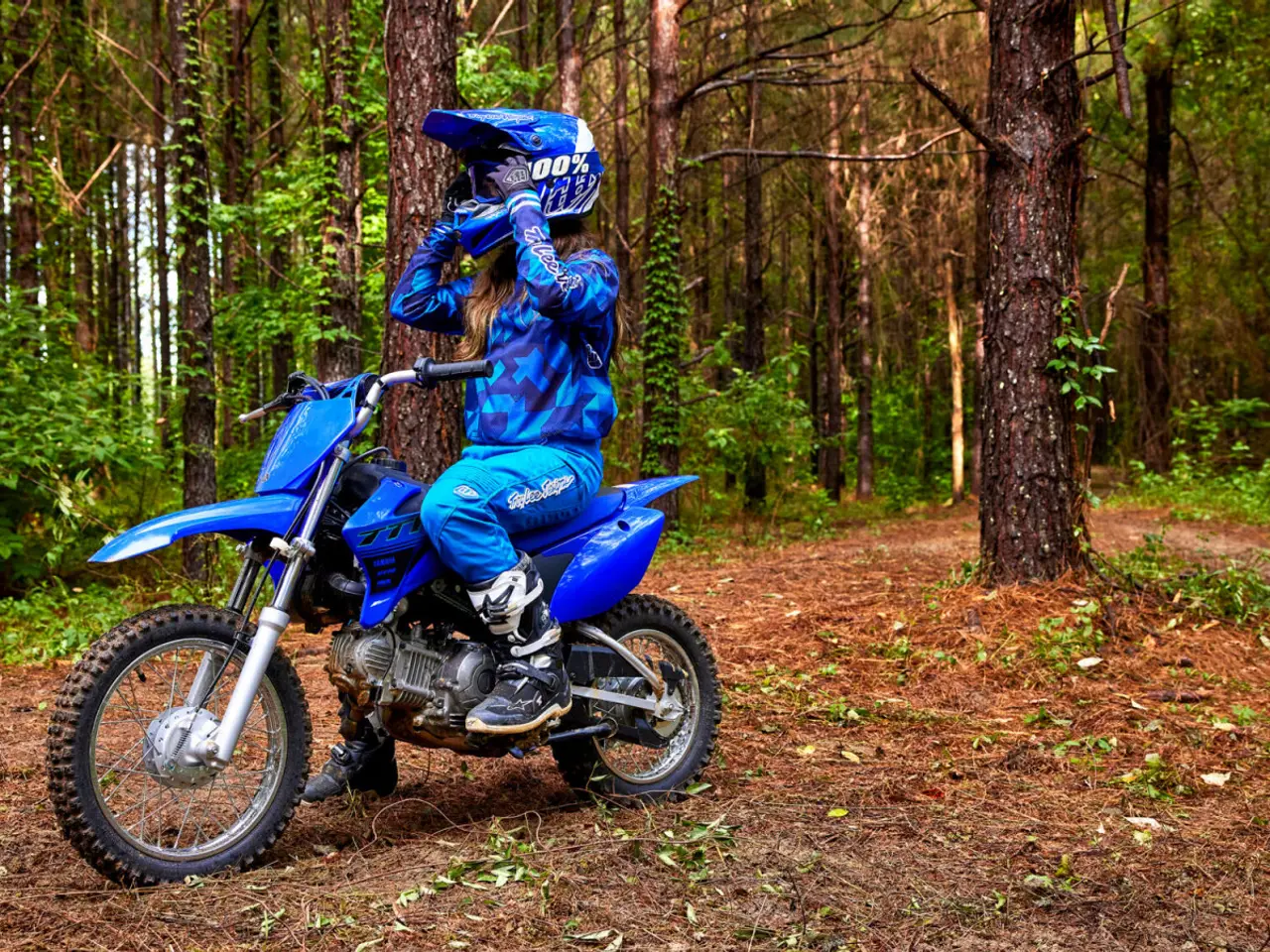 Billede 3 - Yamaha TTR 110