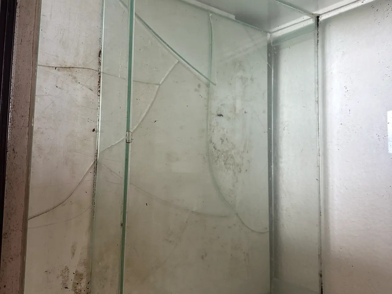Billede 4 - Terrarium 50*50*50