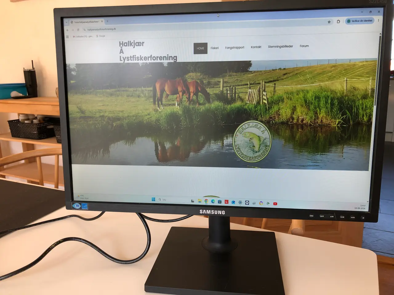 Billede 5 - Samsung 22" skærm, model LS22C46K