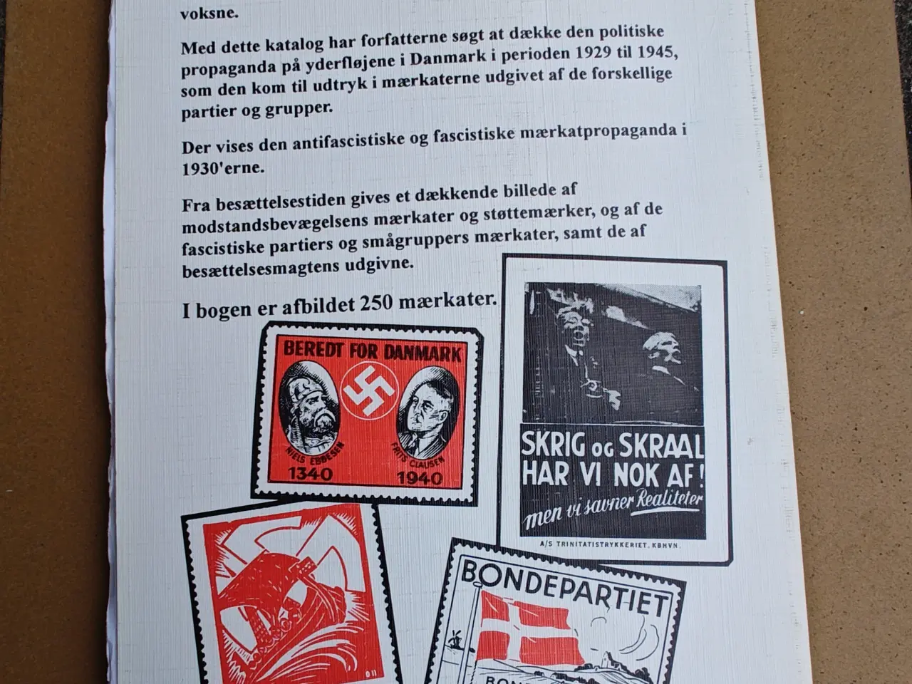 Billede 2 - Mærkatpropaganda i Danmark Antifascistist Fascist