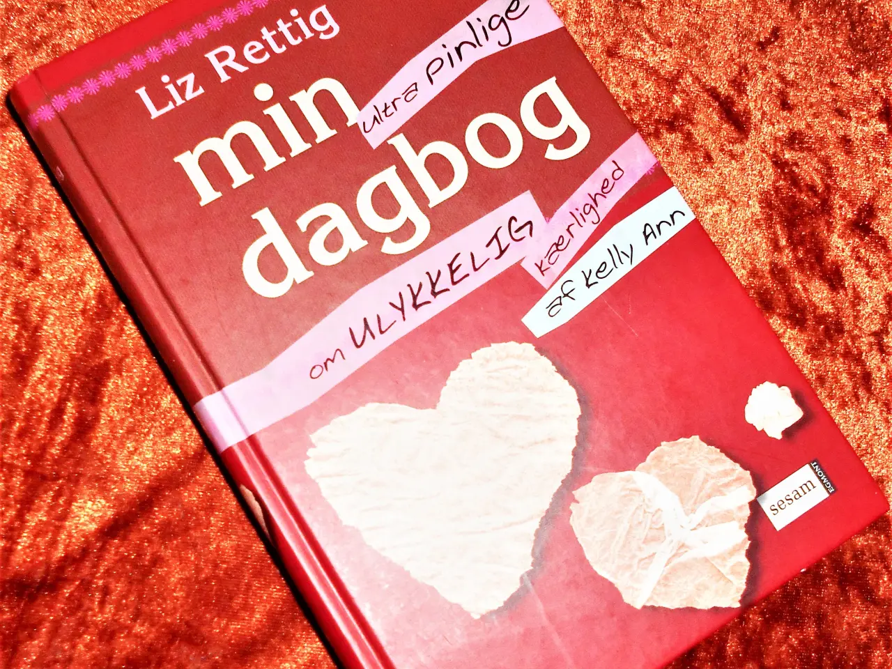 Billede 1 - Min ultrapinlige dagbog, Liz Rettig