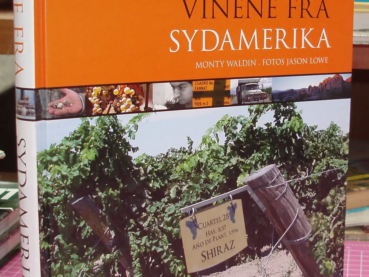Billede 1 - Vinene fra Sydamerika