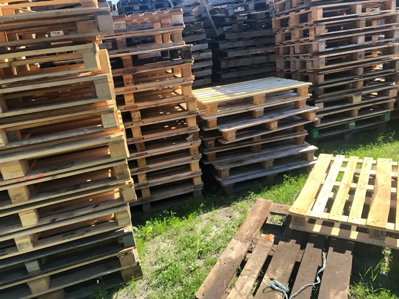 Billede 1 - Paller sælges cb 3 4 og halvepaller engangs 80x120