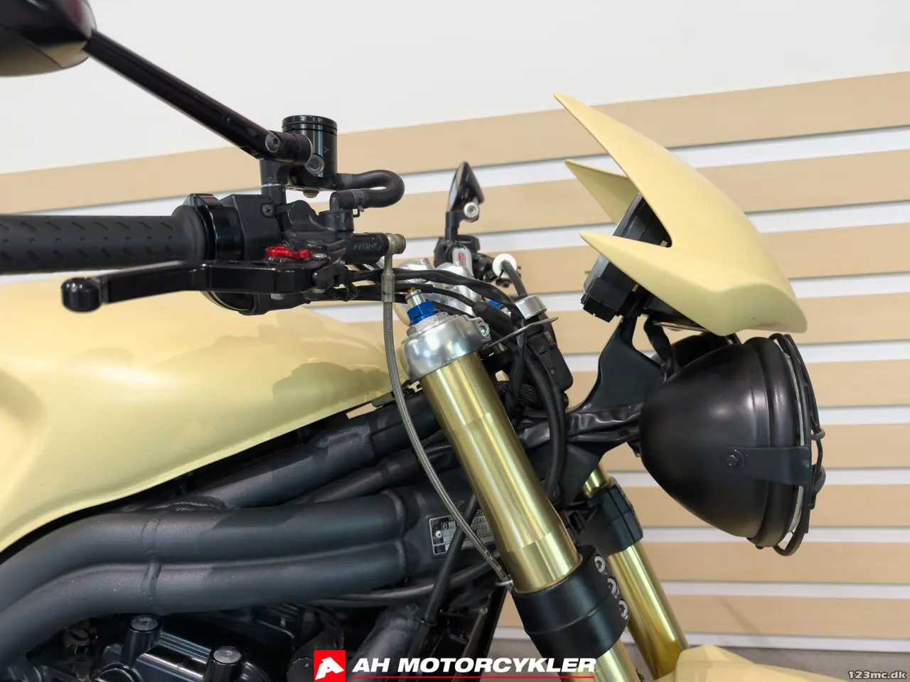 Billede 10 - Triumph Speed Triple
