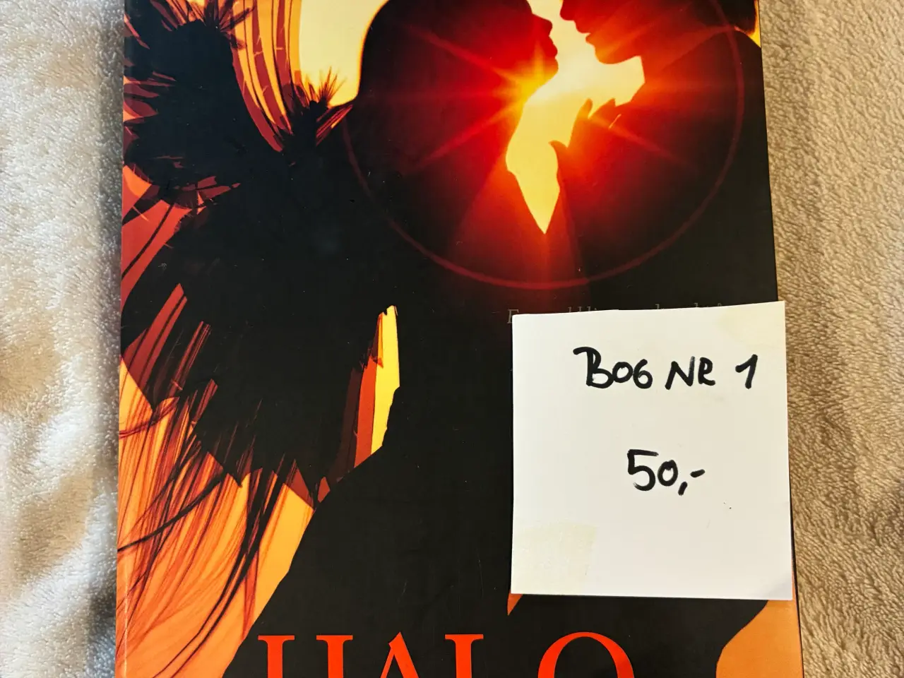 Billede 1 - Fantasy romanen Halo