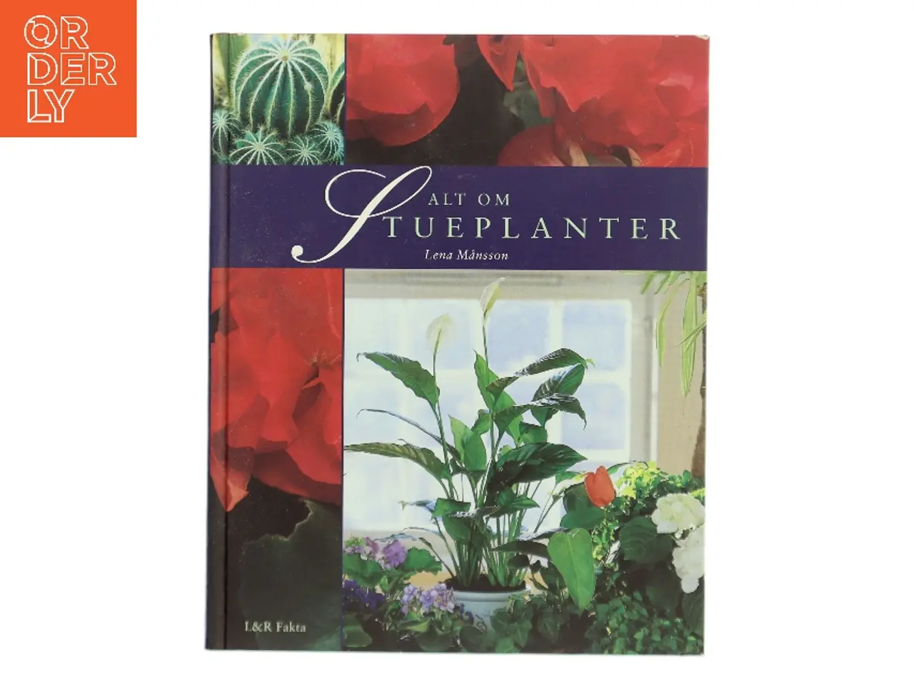 Billede 1 - Alt om stueplanter af Lena Månsson (Bog)