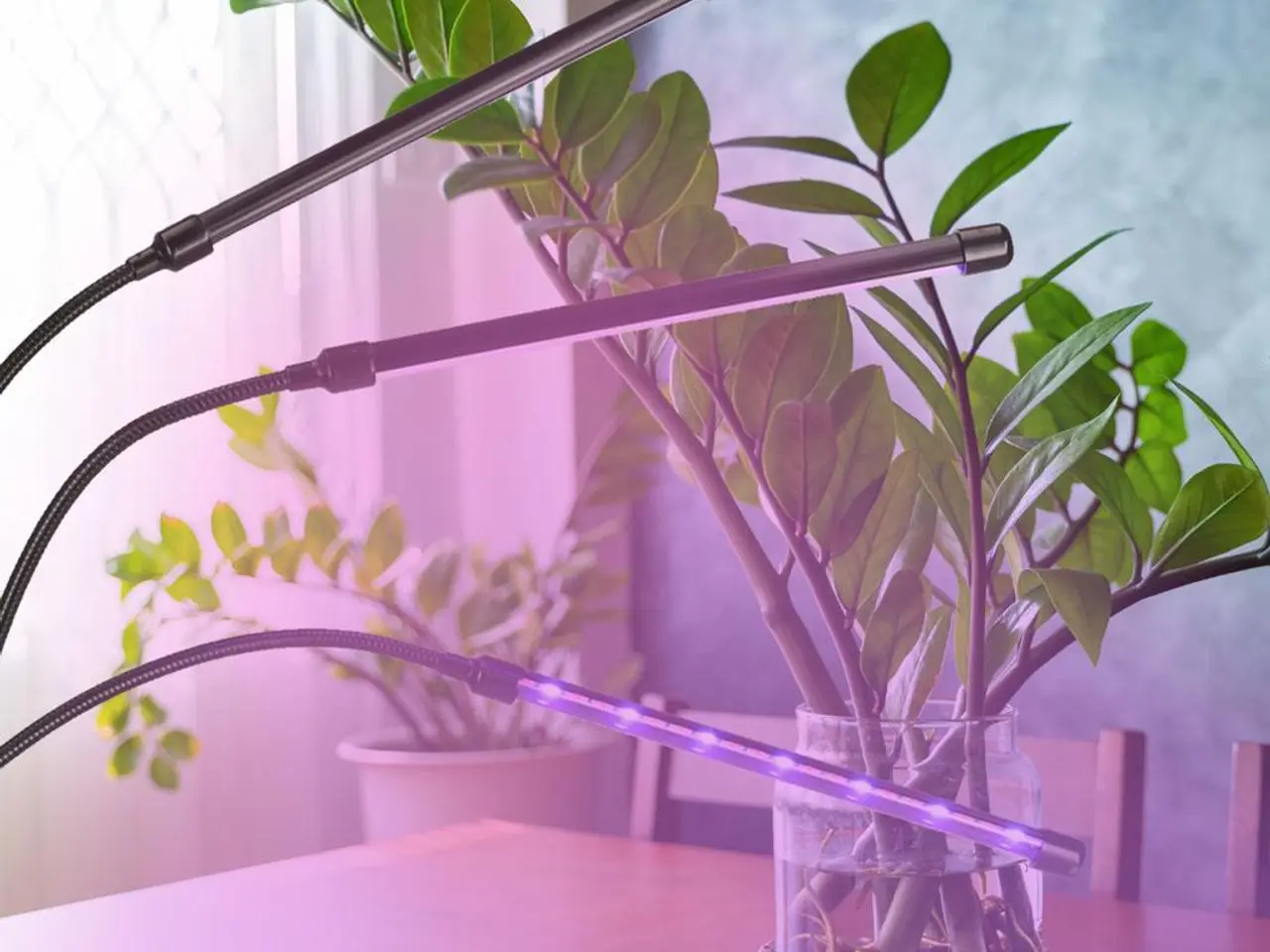 Billede 12 - Plantevækst LED-lampe med 3 arme - 70 cm, sort
