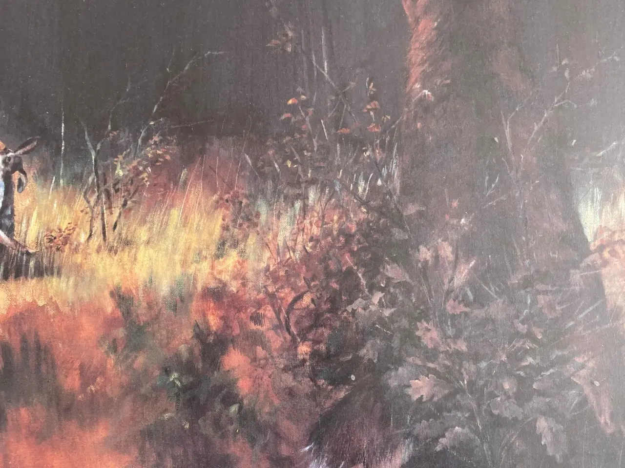 Billede 2 - Flot naturbillede af Steen Axel Hansen 14/50..