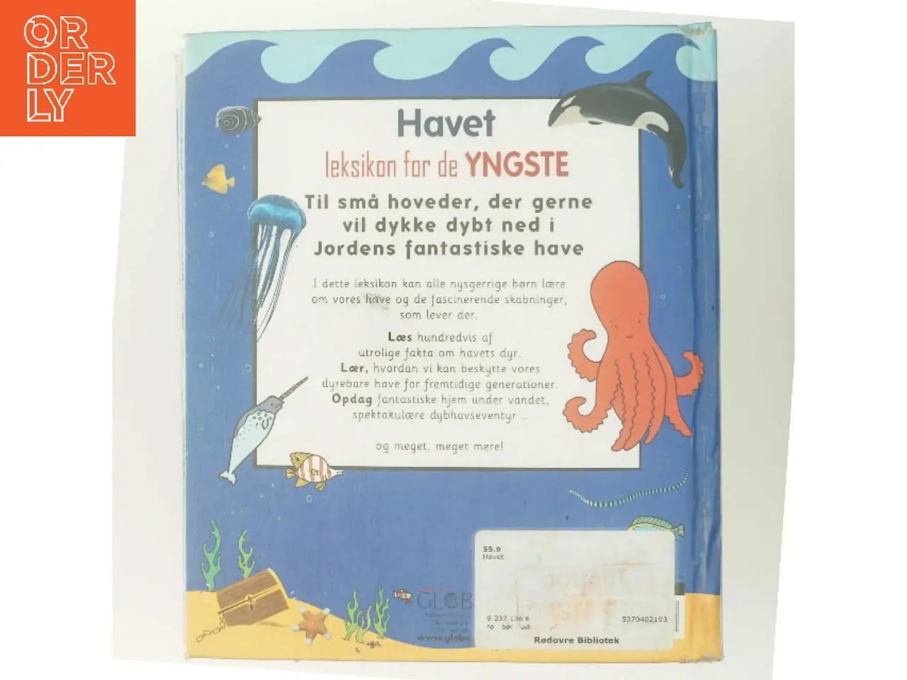 Billede 3 - Havet – leksikon for de yngste af Ukendt forfatter (Bog)