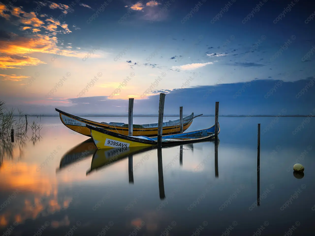 Billede 1 - The boats