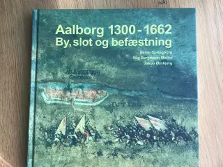 Aalborgbogen 2013 - Aalborg 1300-1662  By, slot og