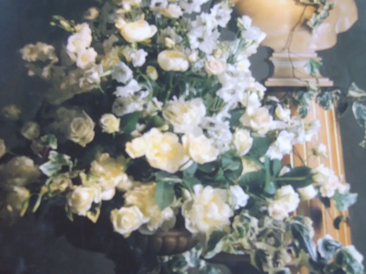Billede 1 - Berings BLOMSTER Verden.