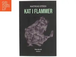 Kat i flammer : roman af Mathias Steen Hansen (f. 1992) (Bog)