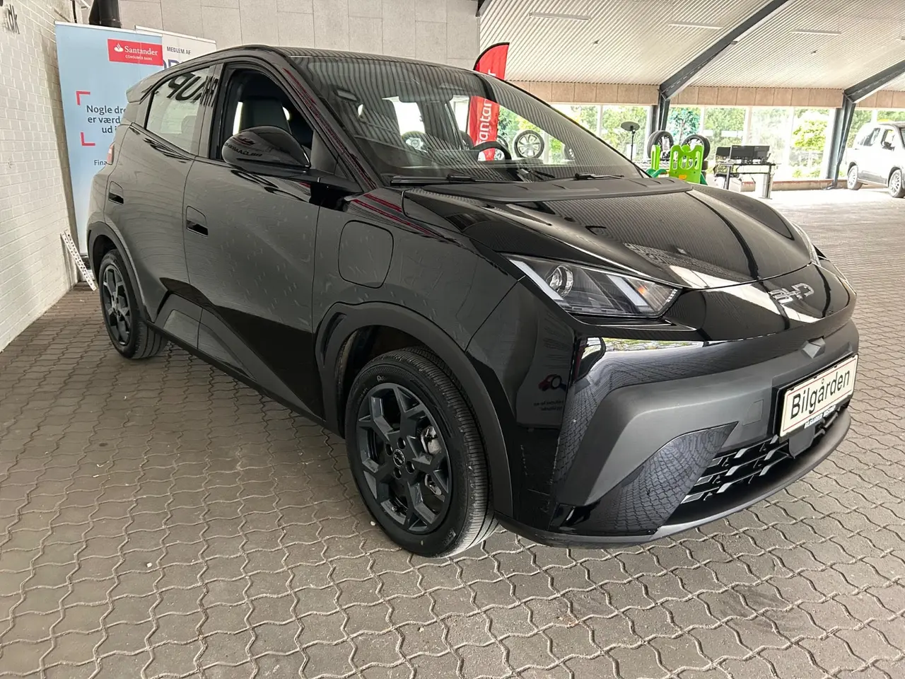 Billede 4 - BYD Dolphin Surf 43 Boost