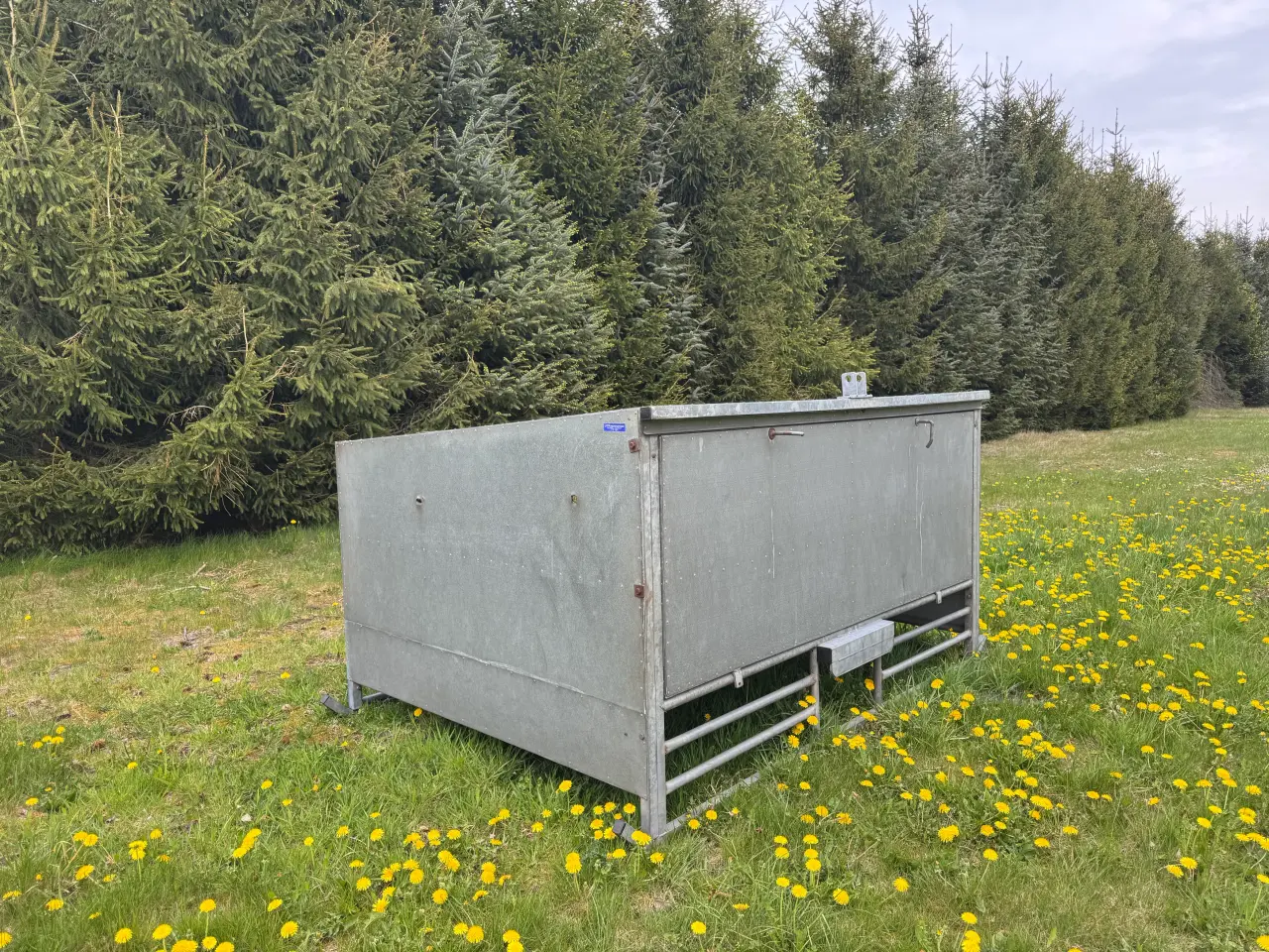 Billede 4 - Kalvebar i meget fin stand
