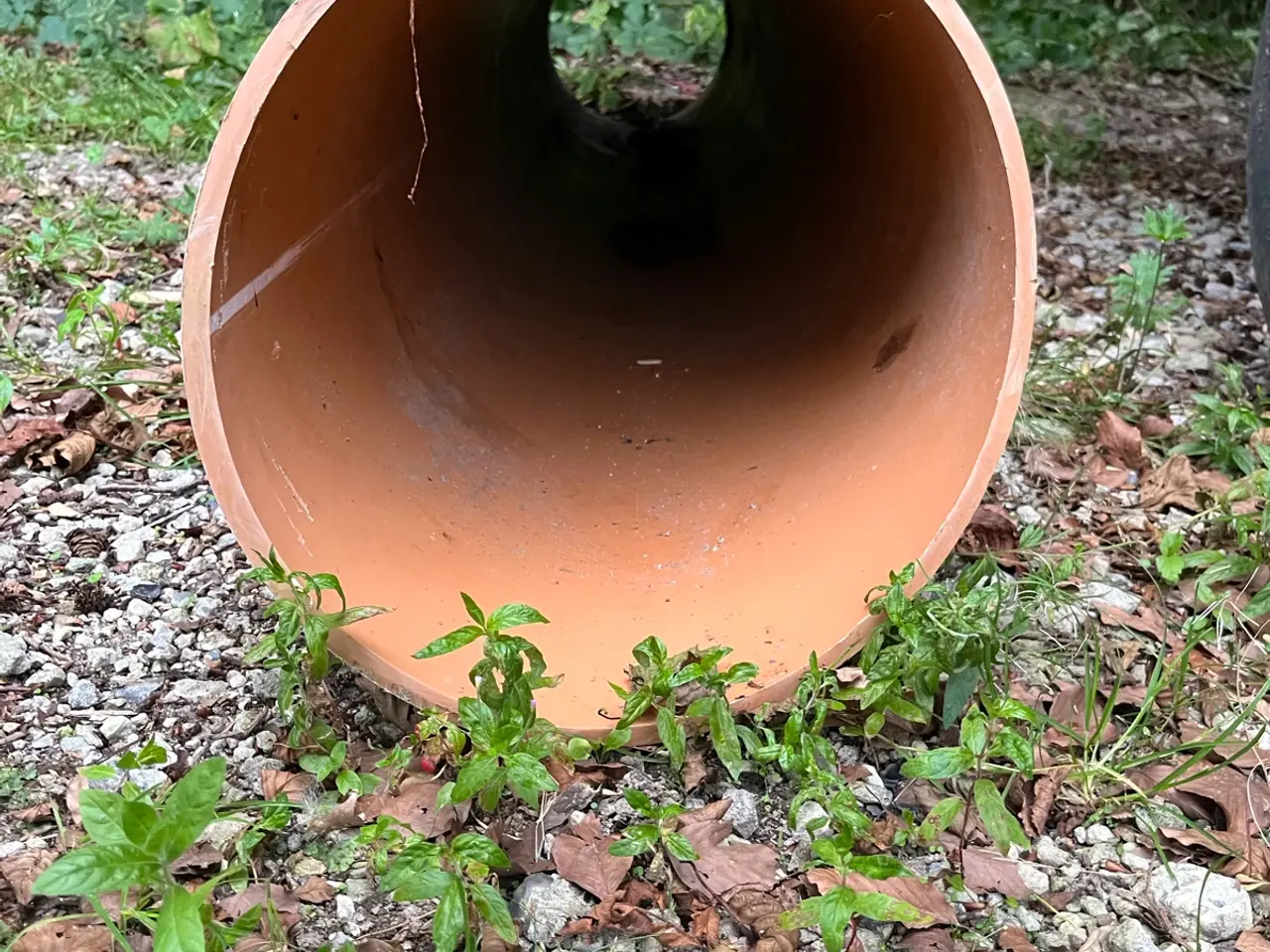 Billede 2 - Plastrør med en ca.2,3m lang.