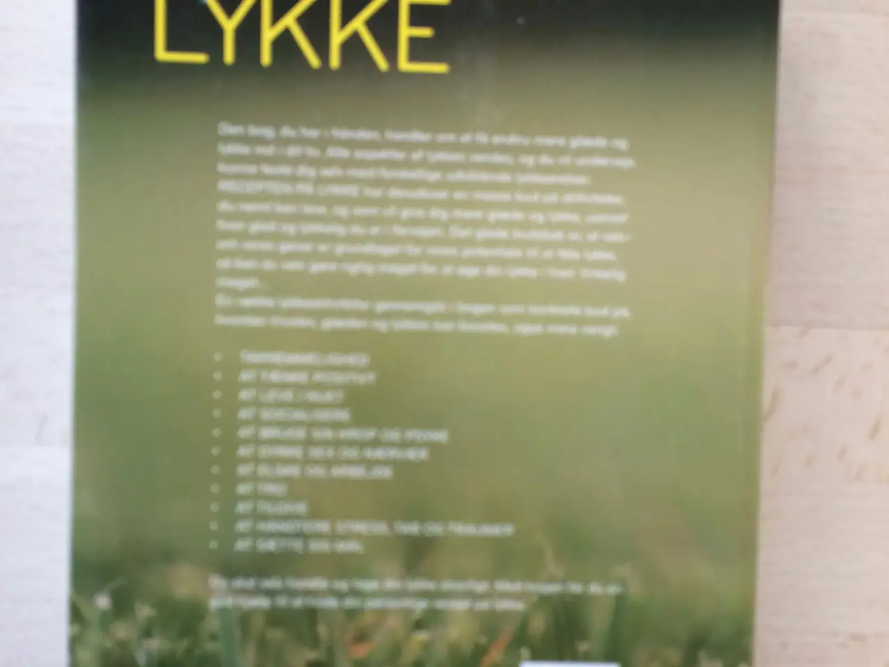 Billede 2 - Recepten på lykke