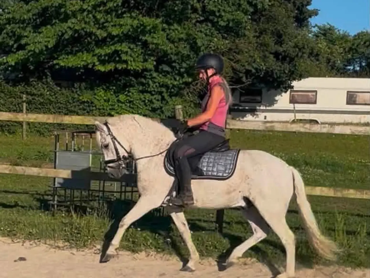 Billede 4 - Super skøn pony