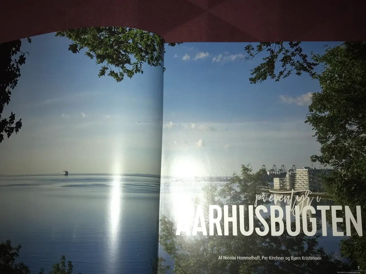 Billede 2 - Århus Ø fra light house