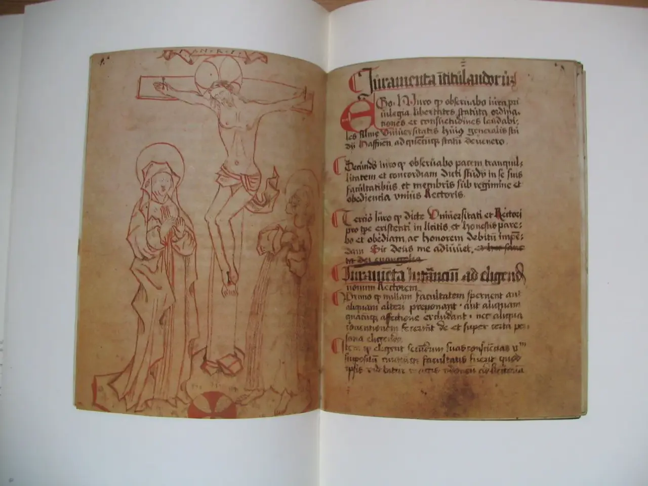 Billede 3 - Universitas studii Haffnensis 14791979