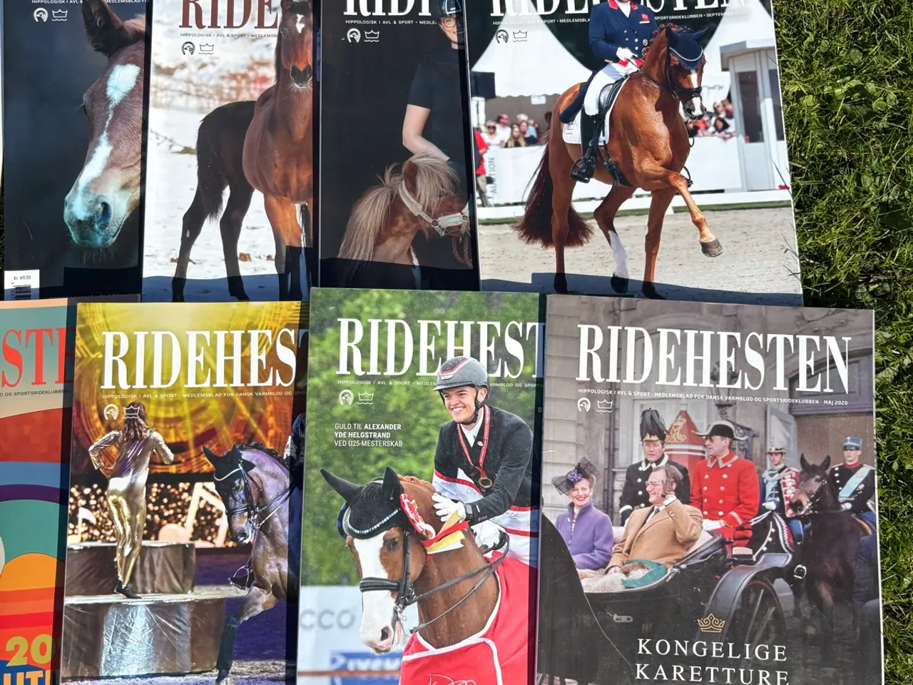 Billede 3 - Ridehesten - 10 stk