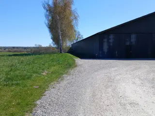 Opbevarings/lagerplads til omgående udlejning.