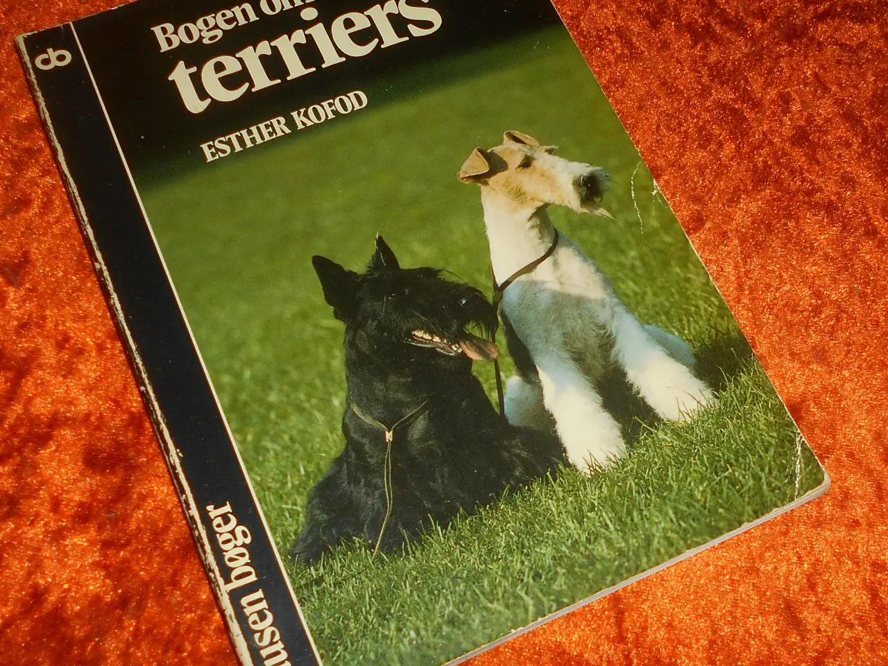 Billede 1 - Bogen om terriers, Esther Kofod