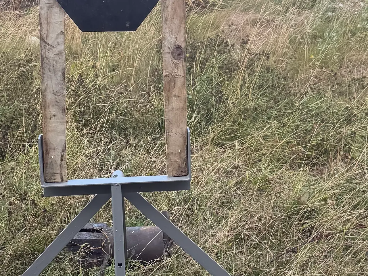 Billede 1 - Ipsc swinger