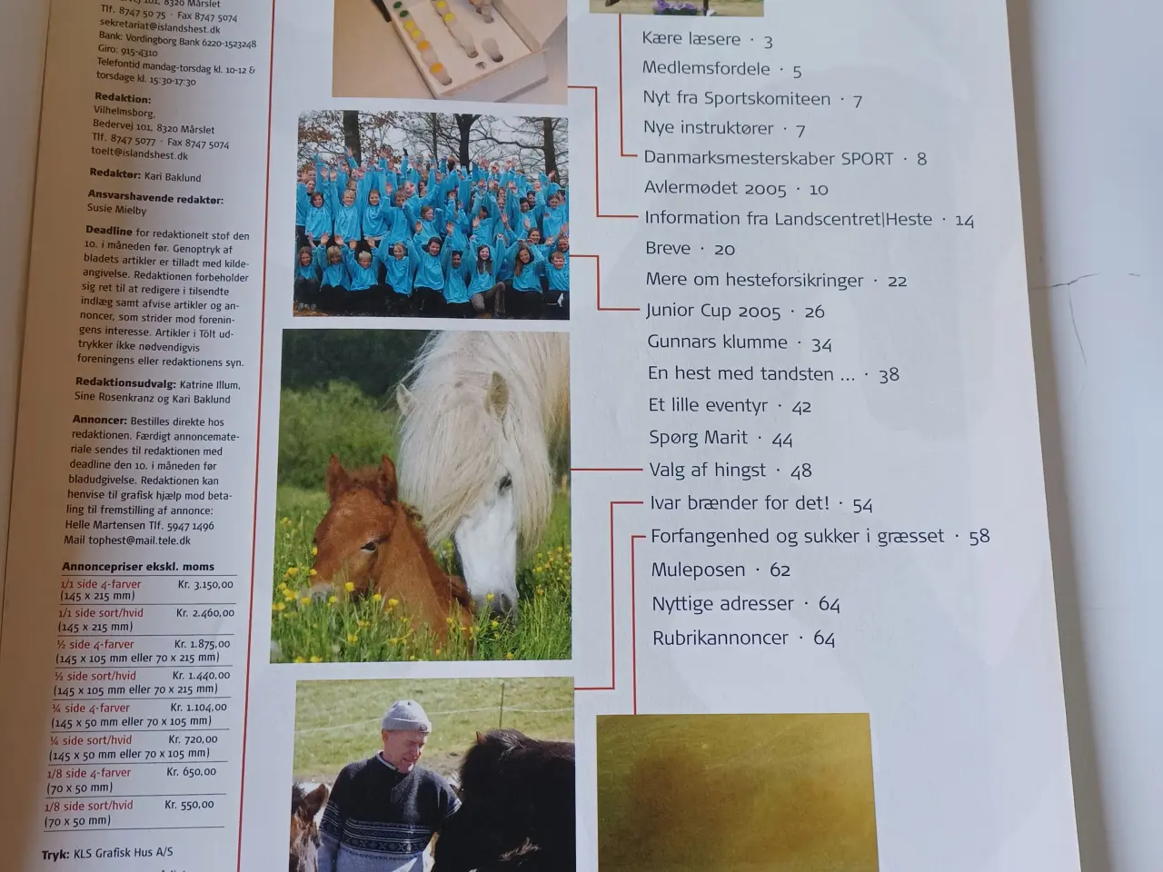 Billede 6 - Tölt heste-magasiner