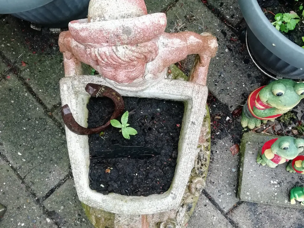 Billede 1 - En god havemanden